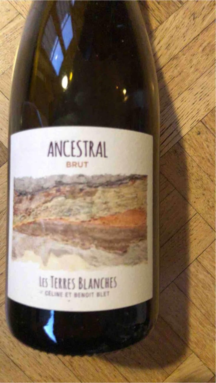 Ancestral Blanc - Les Terres Blanches - Celine & Benoit Blet -2022