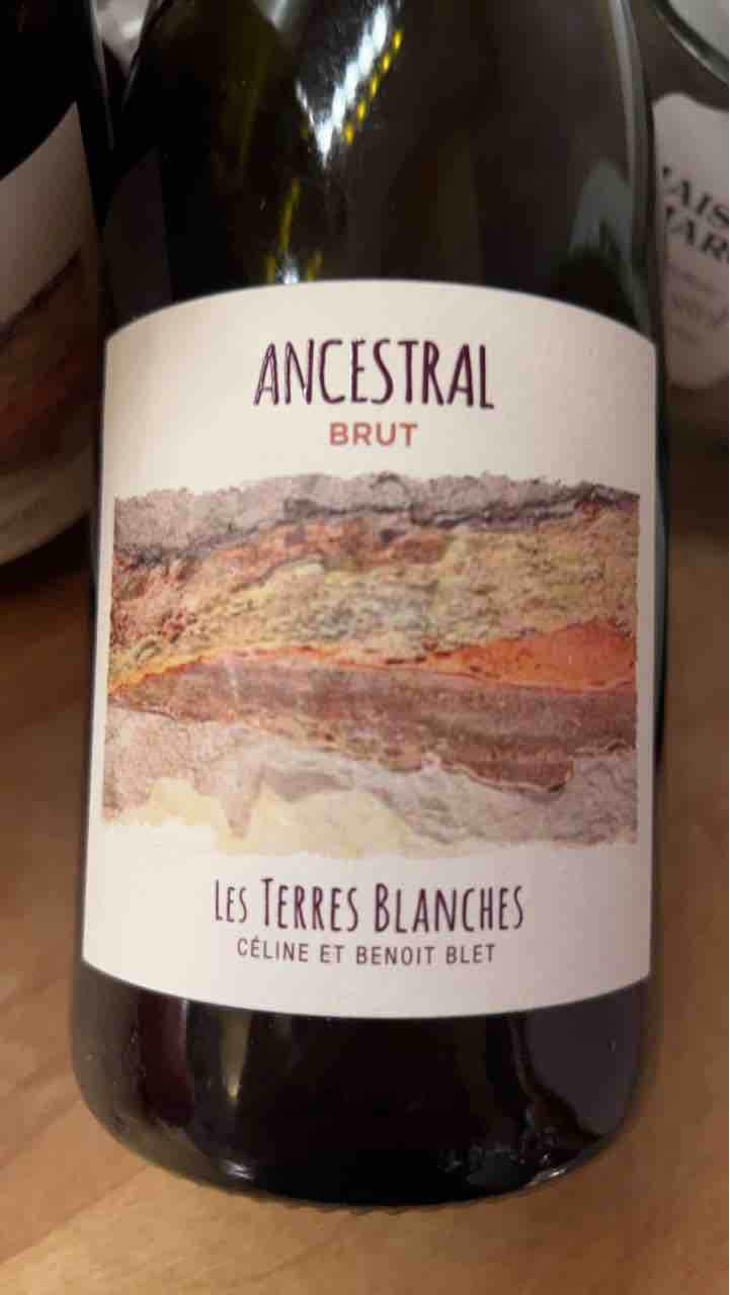 Ancestral Blanc - Les Terres Blanches - Celine & Benoit Blet -2022