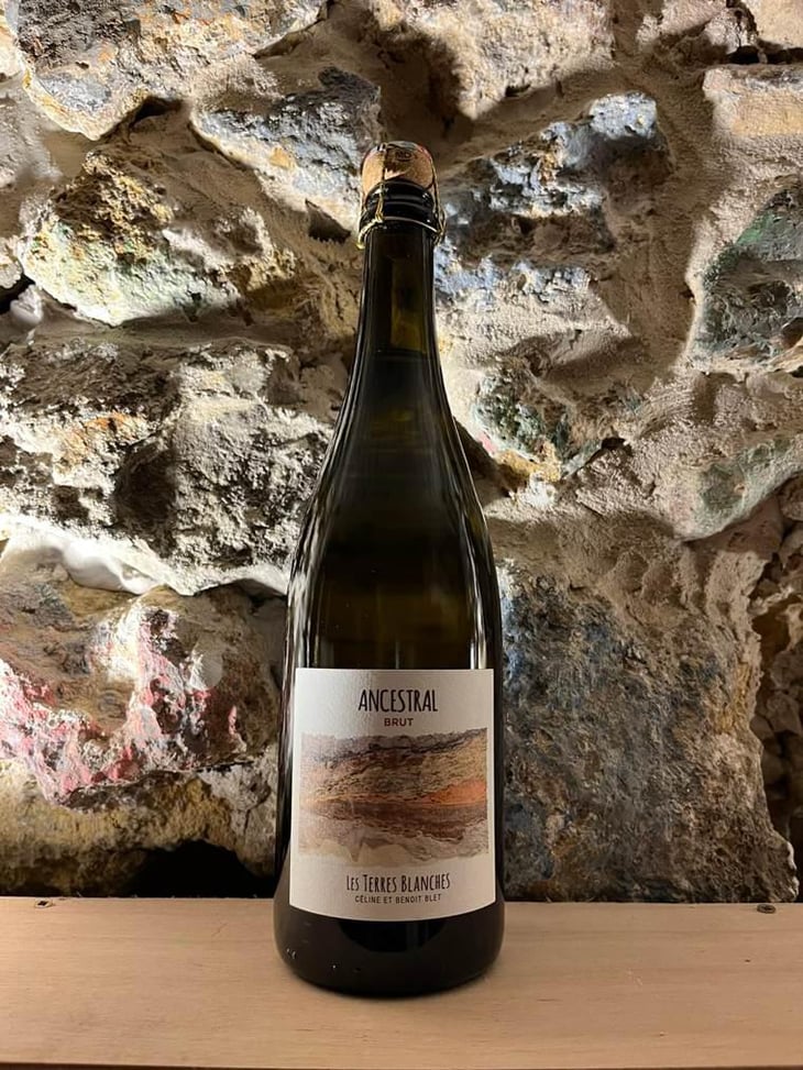 Ancestral Blanc - Les Terres Blanches - Celine & Benoit Blet -2022