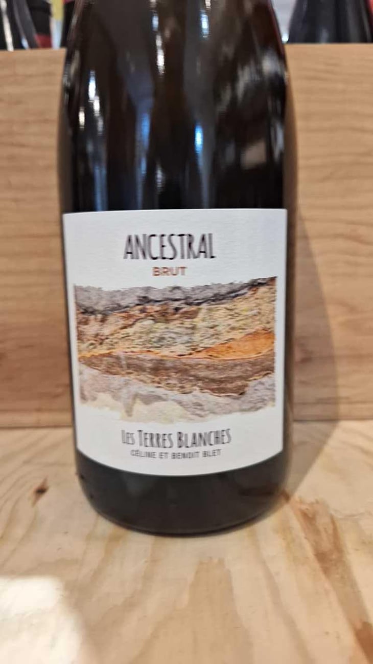 Ancestral Blanc - Les Terres Blanches - Celine & Benoit Blet -2022