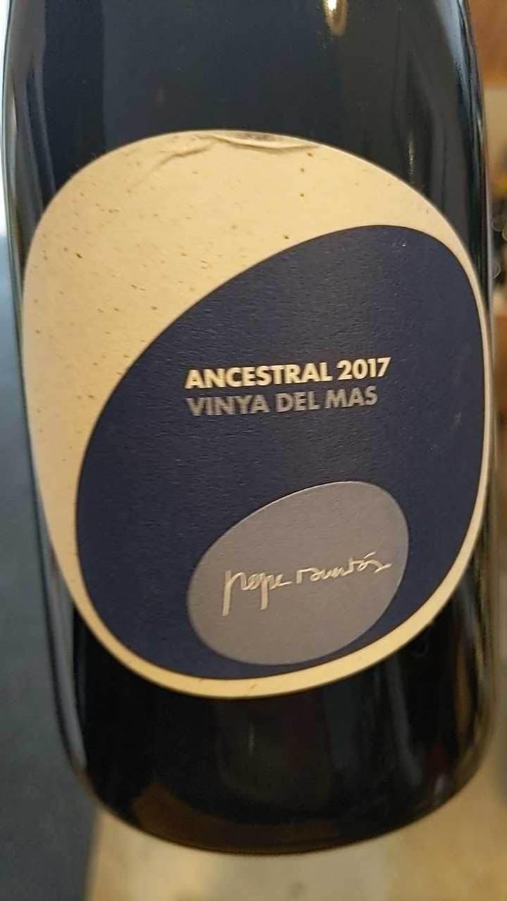 Ancestral Vinya del Mas - Vins Pepe Raventós - Pepe Raventós 