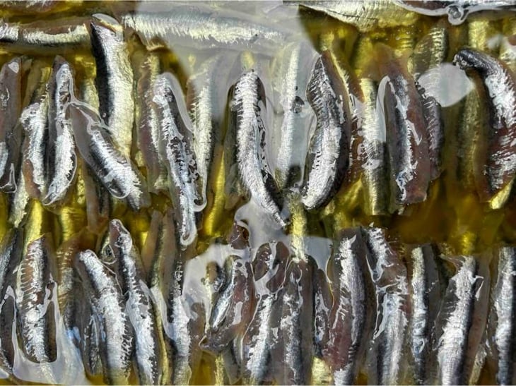 Anchois Maison - la Famille - 793033