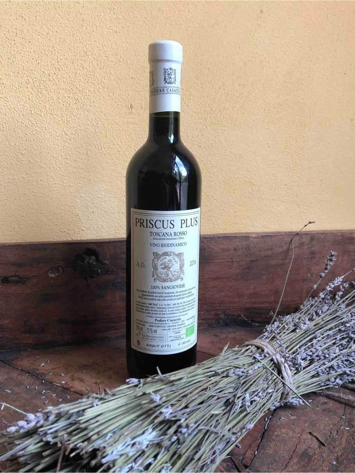 Priscus - Podere Casaccia Sine Felle - Roberto Moretti 