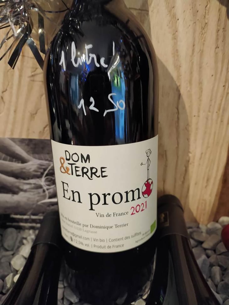 En Promo - Dom&Terre - Dominique Terrier -2021