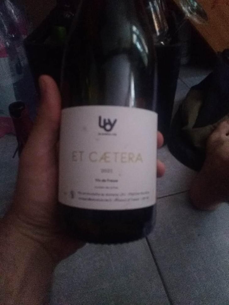 Et Caetera - Le Breton Vial - Julie Le Breton & Christophe Vial 