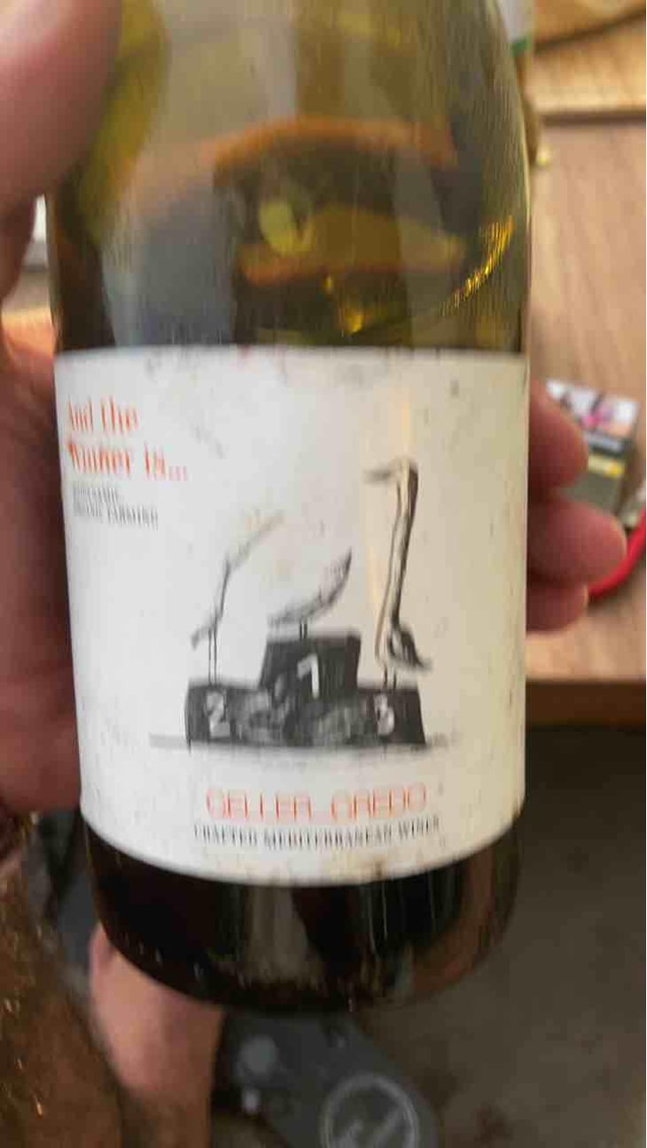 And The Winner Is ... - Celler Credo - Ton Mata Moliner -2019