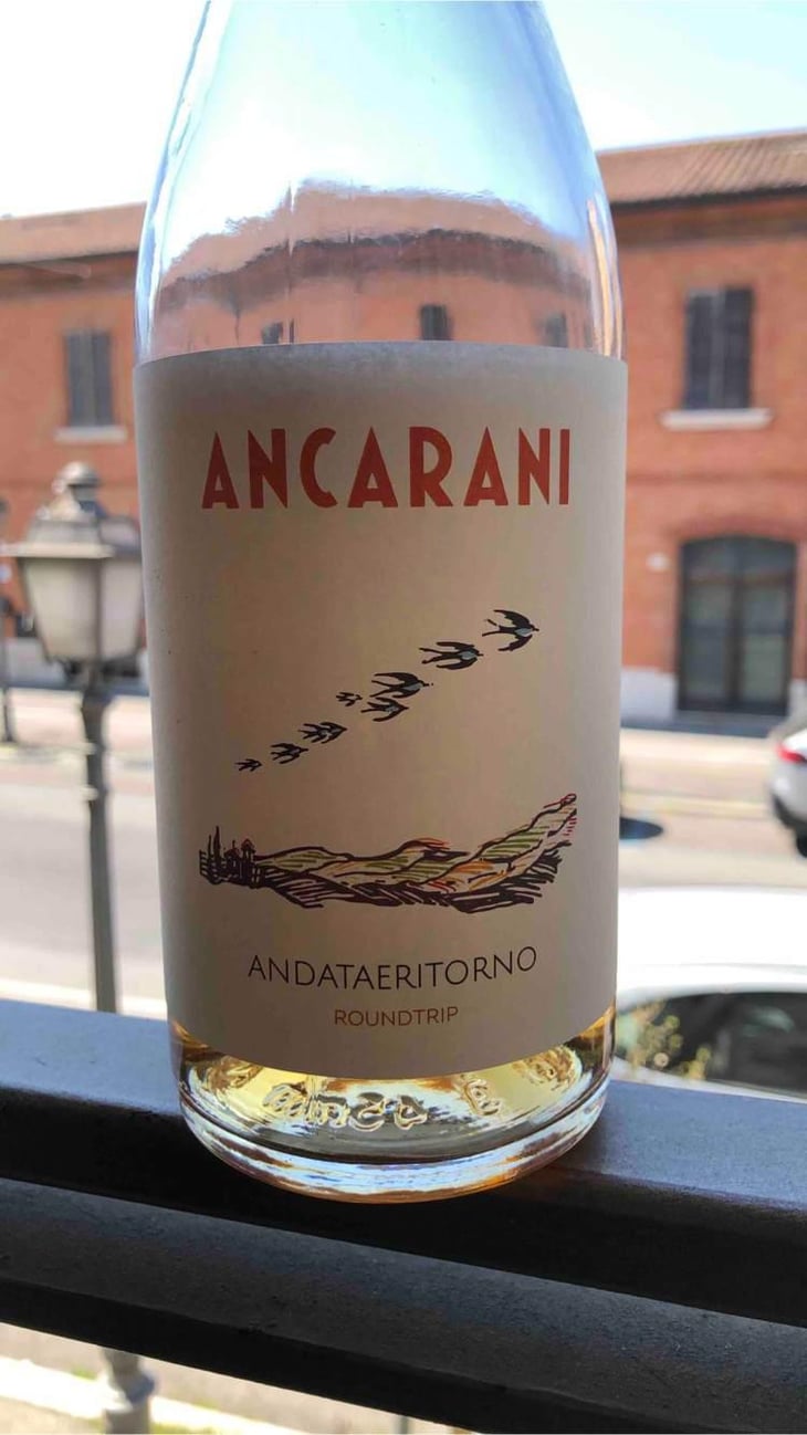 Andataeritorno - Ancarani - Rita Babini & Claudio Ancarani 