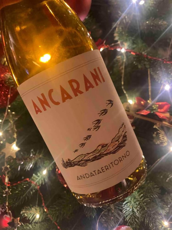 Andataeritorno - Ancarani - Rita Babini & Claudio Ancarani 