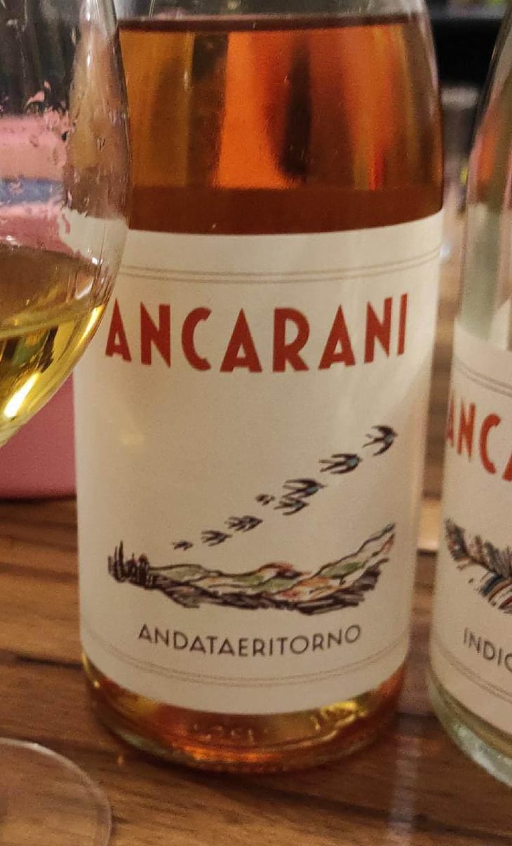 Andataeritorno - Ancarani - Rita Babini & Claudio Ancarani 
