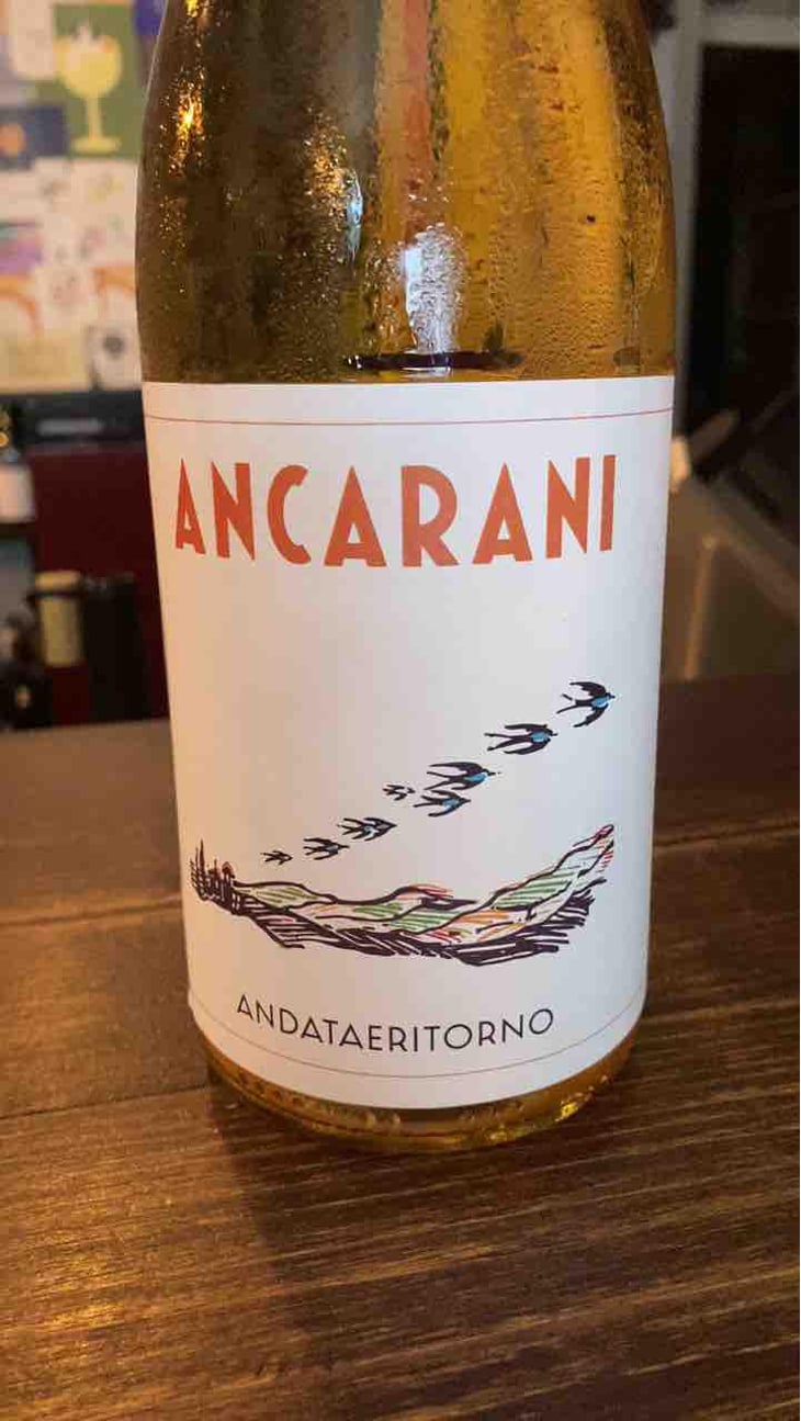 Andataeritorno - Ancarani - Rita Babini & Claudio Ancarani 