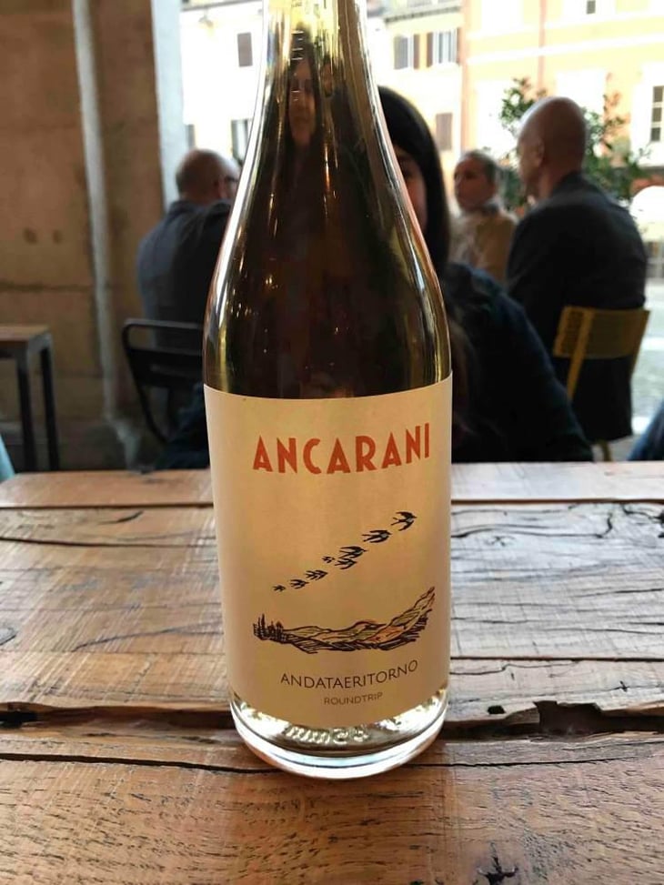 Andataeritorno - Ancarani - Rita Babini & Claudio Ancarani 