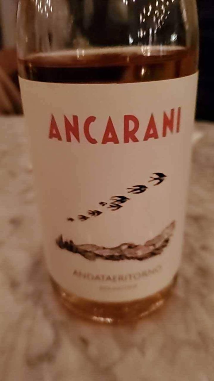 Andataeritorno - Ancarani - Rita Babini & Claudio Ancarani 