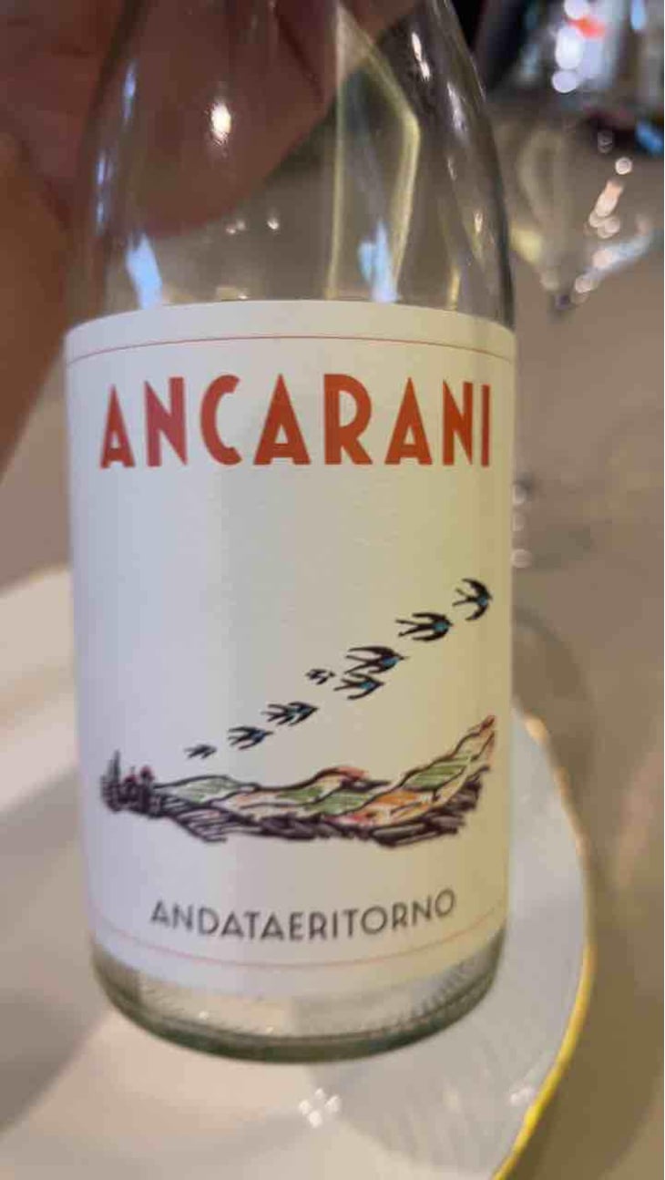 Andataeritorno - Ancarani - Rita Babini & Claudio Ancarani 