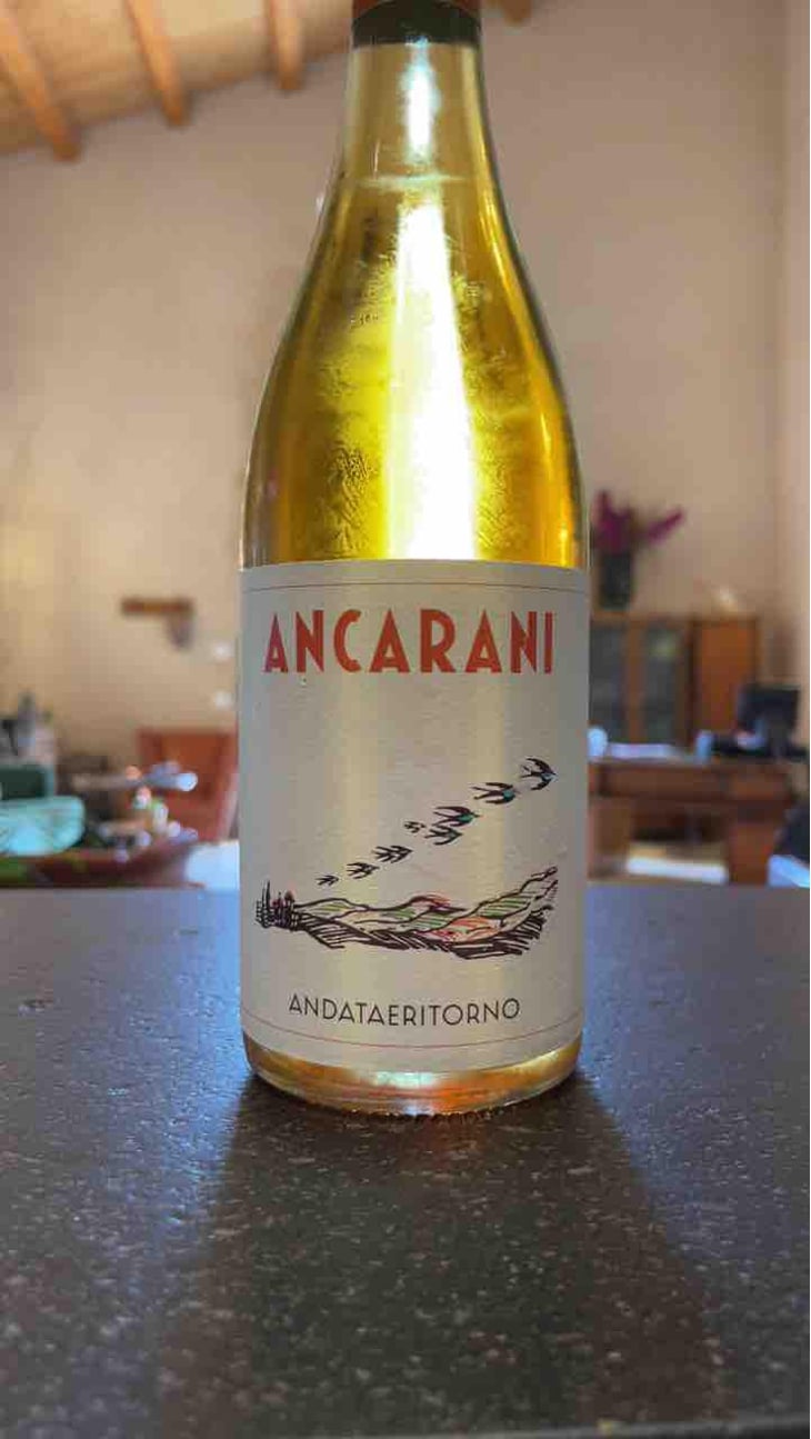 Andataeritorno - Ancarani - Rita Babini & Claudio Ancarani 