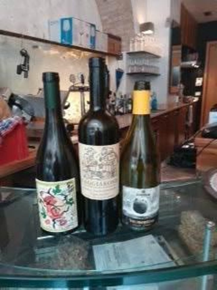 Anfora Verdicchio - Gagliardi Matelica - Gagliardi 