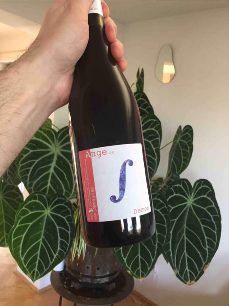 Ange ou Demon - Domaine Saurigny - Jérôme Saurigny 