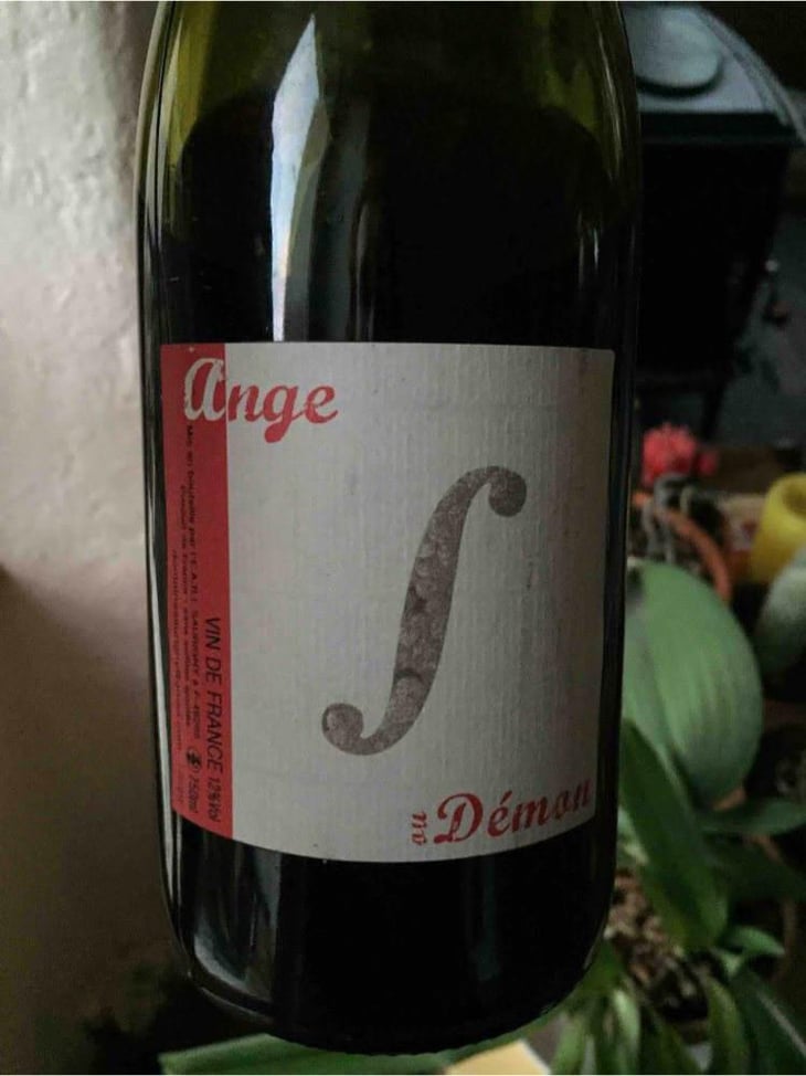 Ange ou Demon - Domaine Saurigny - Jérôme Saurigny 