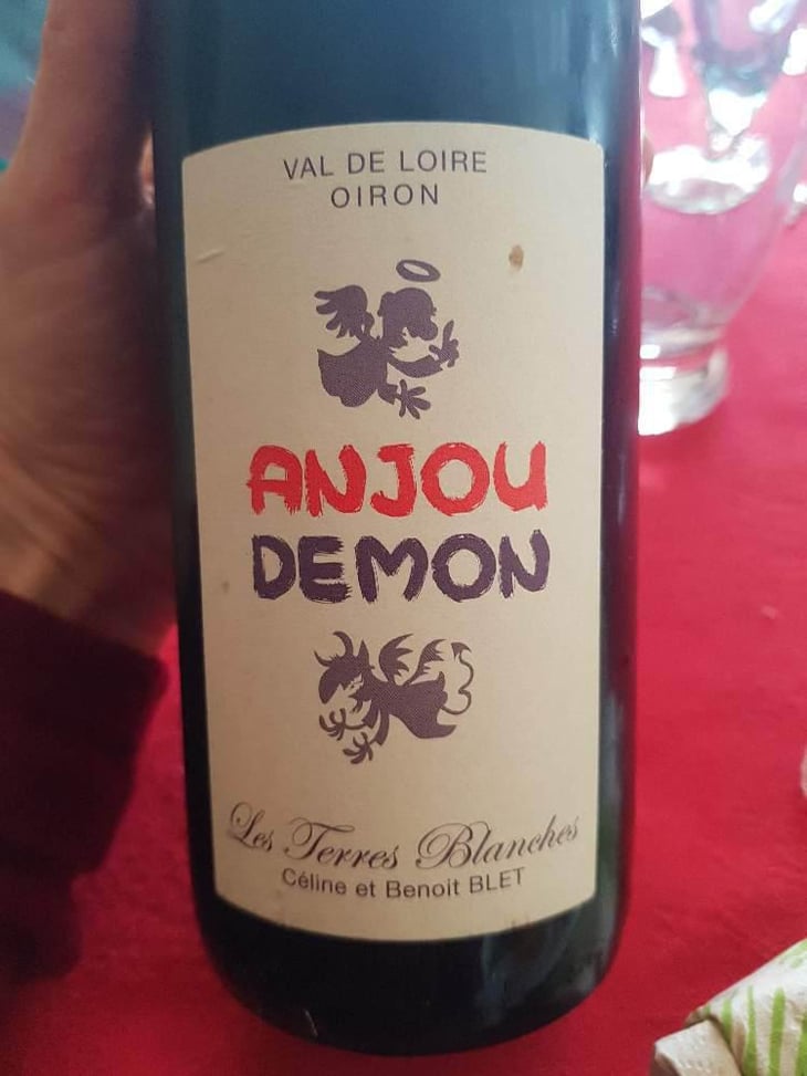 Ange ou Demon - Domaine Saurigny - Jérôme Saurigny 