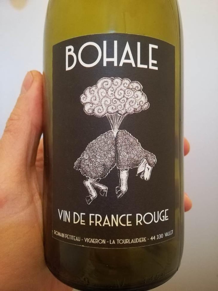 Bohale - Domaine de la Tourlaudière - Romain Petiteau 