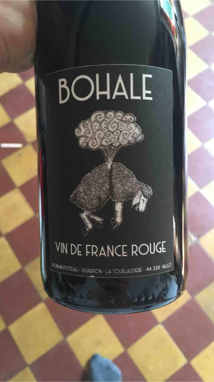 Bohale - Domaine de la Tourlaudière - Romain Petiteau 
