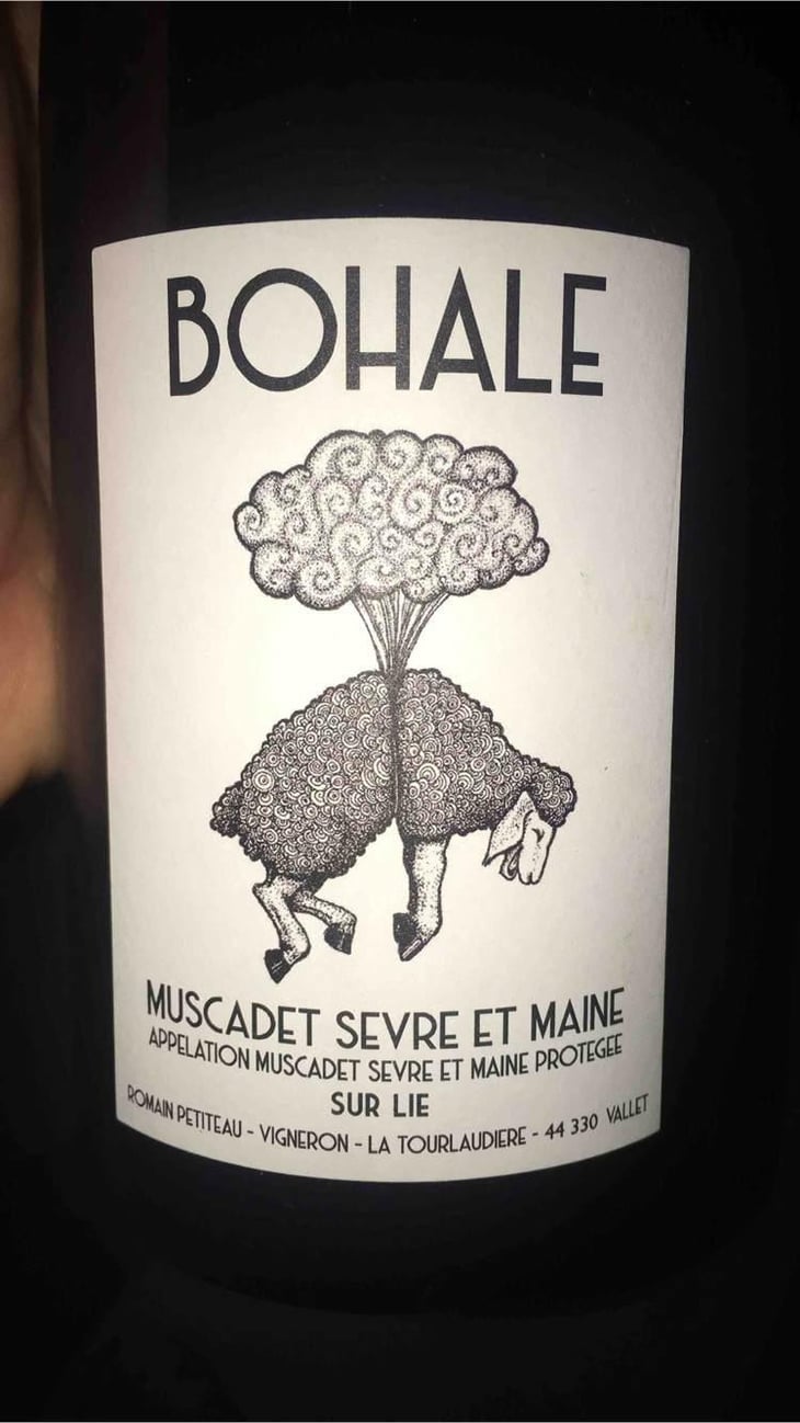 Bohale - Domaine de la Tourlaudière - Romain Petiteau 