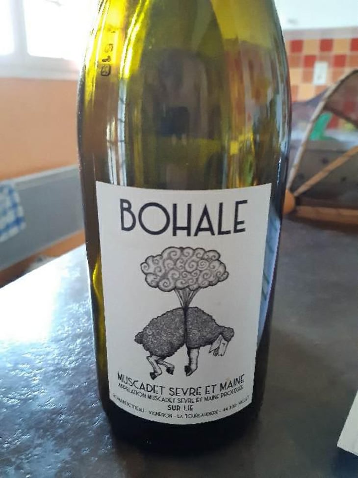 Bohale - Domaine de la Tourlaudière - Romain Petiteau 
