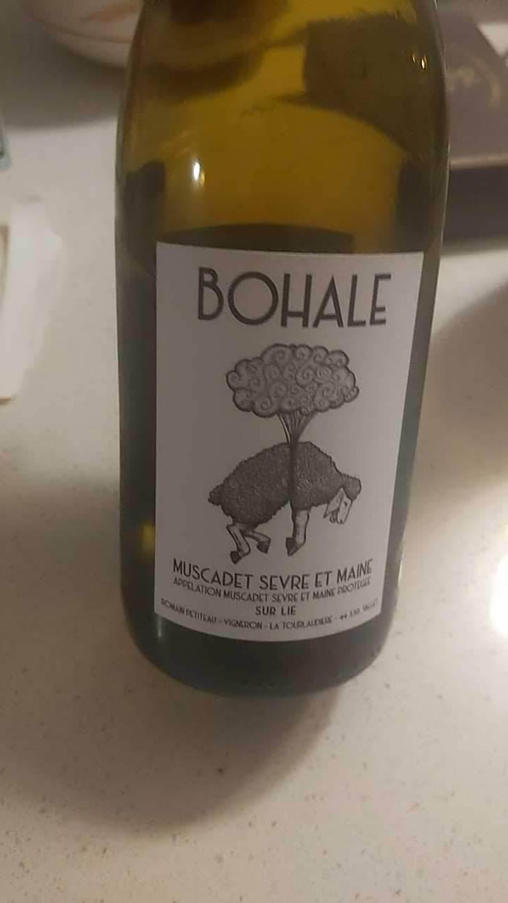 Bohale - Domaine de la Tourlaudière - Romain Petiteau 