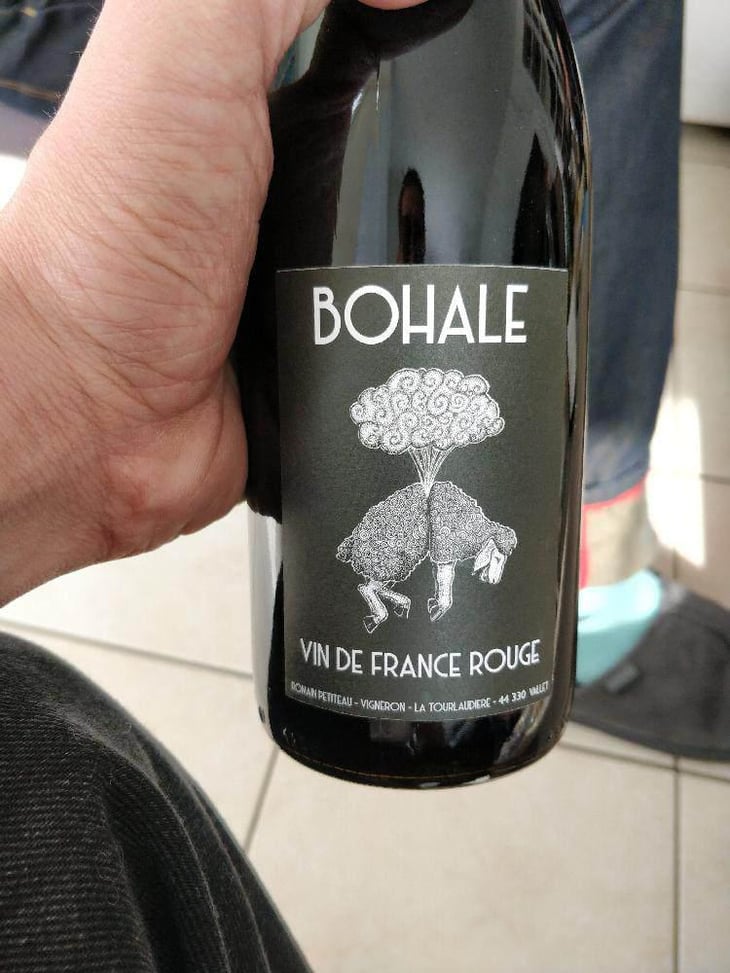 Bohale - Domaine de la Tourlaudière - Romain Petiteau 