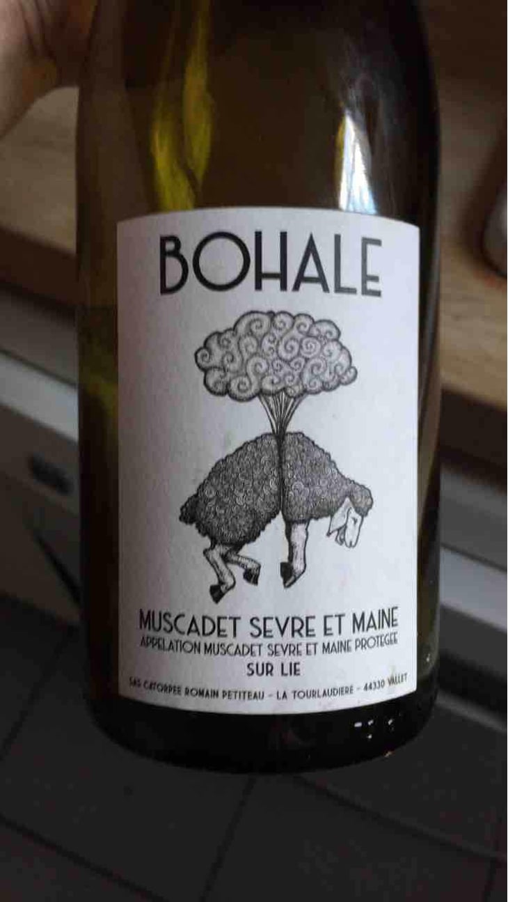 Bohale - Domaine de la Tourlaudière - Romain Petiteau 