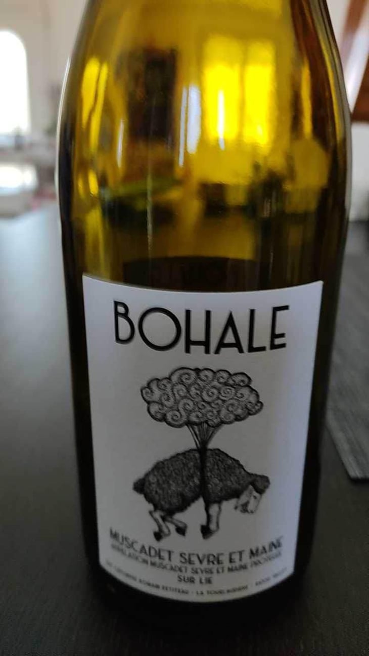 Bohale - Domaine de la Tourlaudière - Romain Petiteau 
