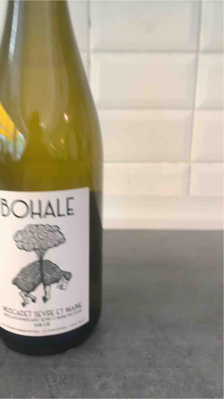 Bohale - Domaine de la Tourlaudière - Romain Petiteau 