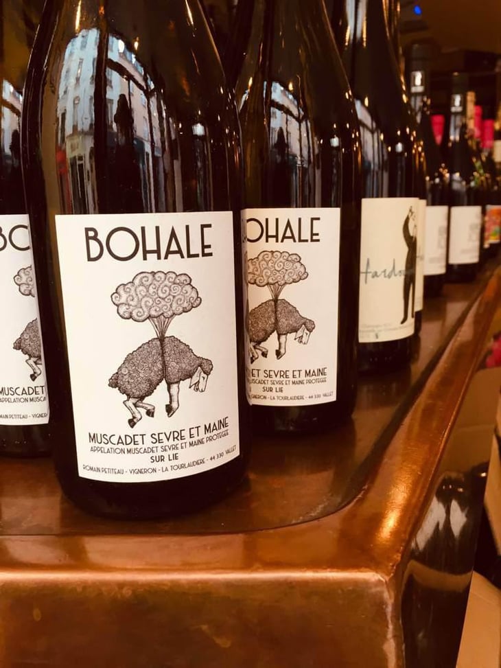 Bohale - Domaine de la Tourlaudière - Romain Petiteau 