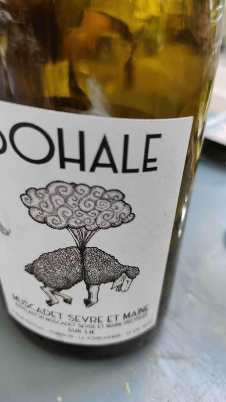 Bohale - Domaine de la Tourlaudière - Romain Petiteau 