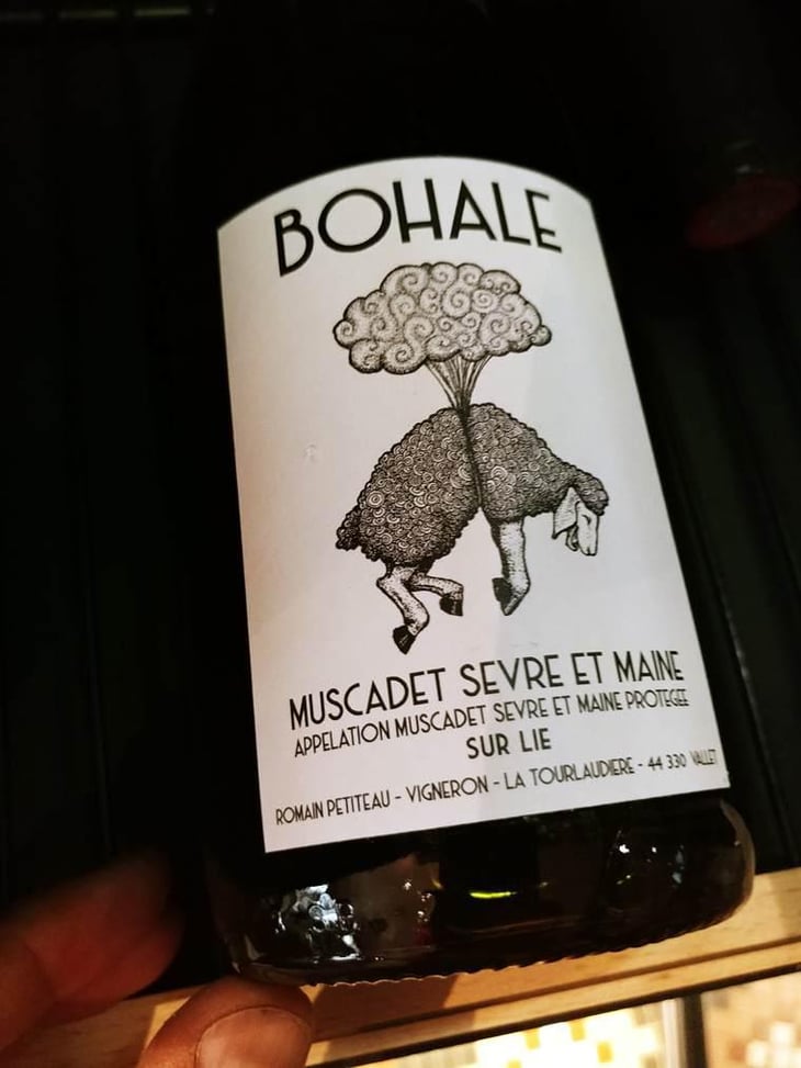 Bohale - Domaine de la Tourlaudière - Romain Petiteau 