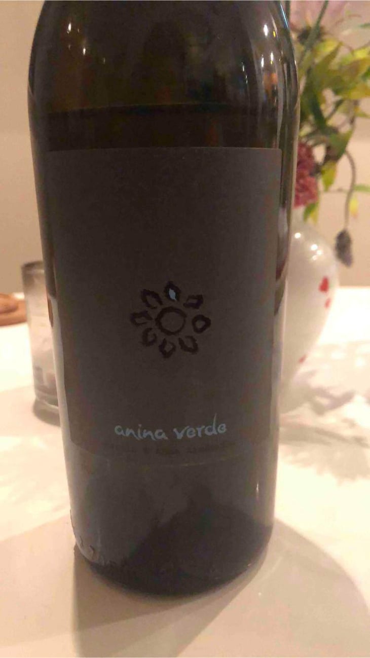 Anina Verde - Weingut Martin & Anna Arndorfer - Martin & Anna Arndorfer 