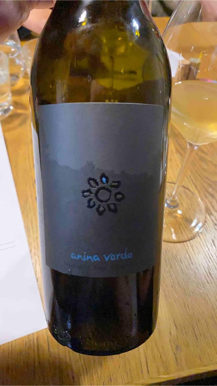 Anina Verde - Weingut Martin & Anna Arndorfer - Martin & Anna Arndorfer 