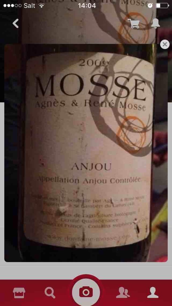 Anjou Blanc - Domaine Mosse - Sylvestre & Joseph Mosse 
