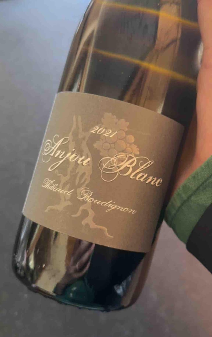 Anjou Blanc - Thibaud Boudignon - Thibaud Boudignon 