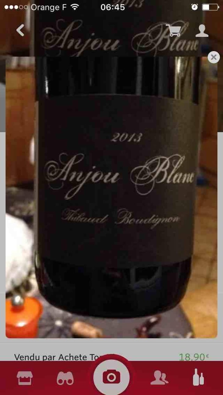 Anjou Blanc - Thibaud Boudignon - Thibaud Boudignon 