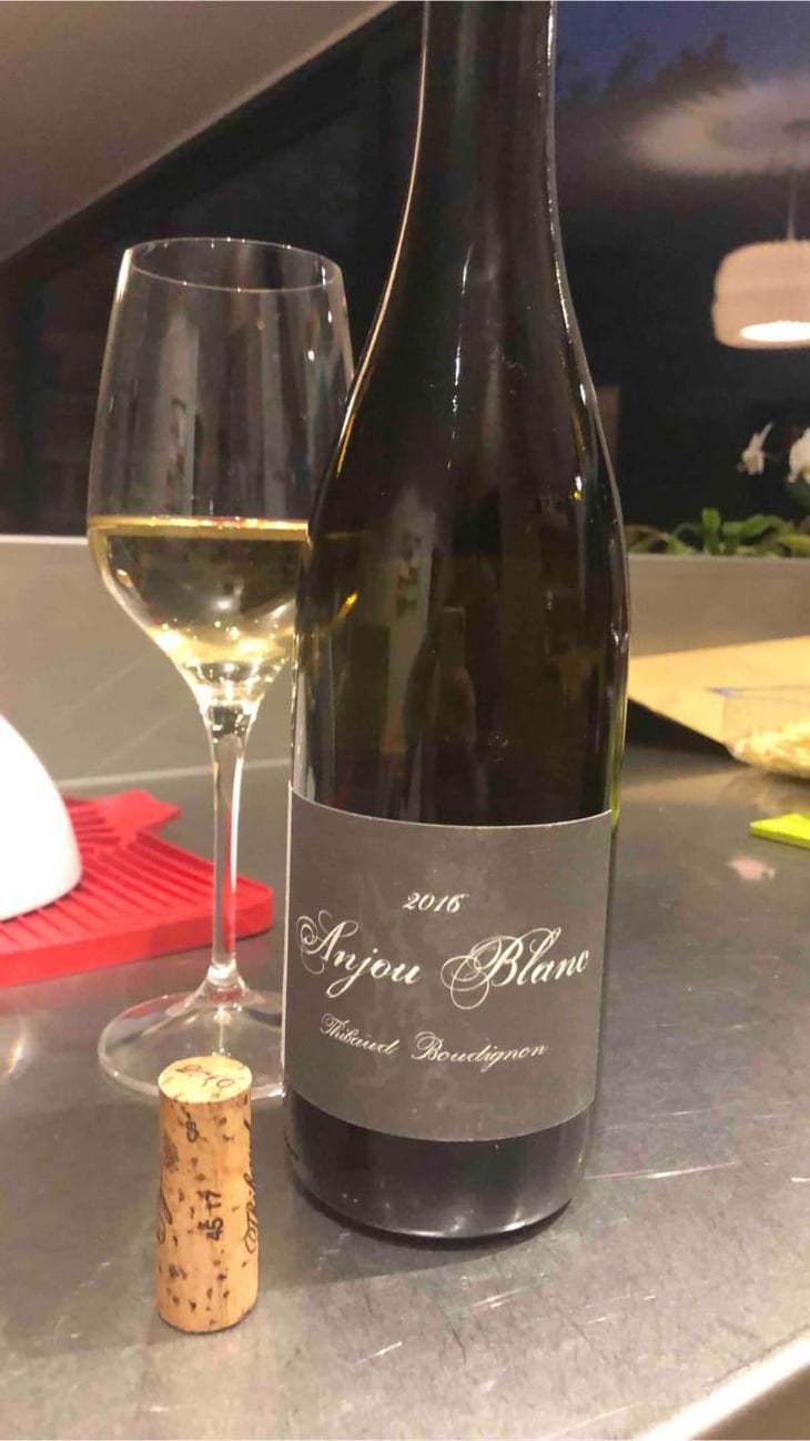Anjou Blanc - Thibaud Boudignon - Thibaud Boudignon 