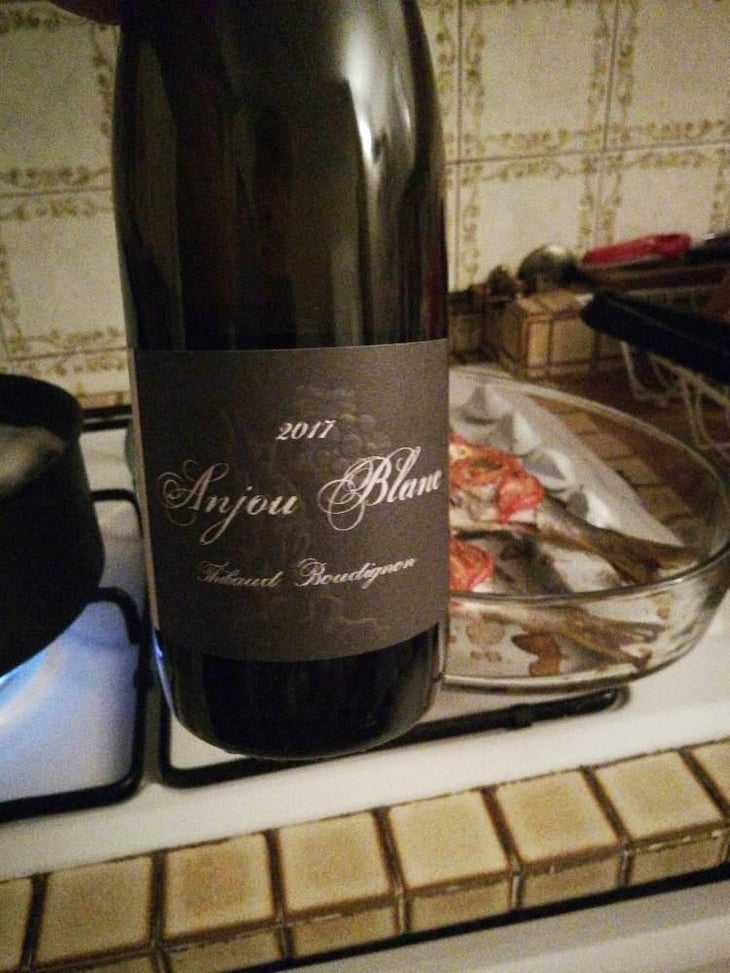 Anjou Blanc - Thibaud Boudignon - Thibaud Boudignon 