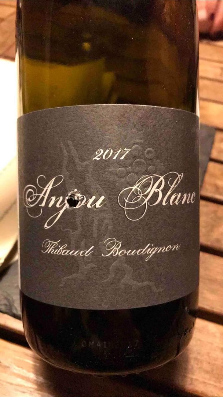 Anjou Blanc - Thibaud Boudignon - Thibaud Boudignon 