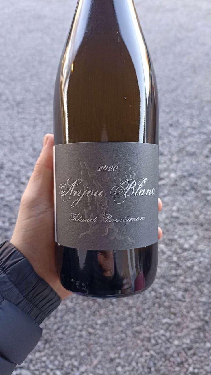 Anjou Blanc - Thibaud Boudignon - Thibaud Boudignon 