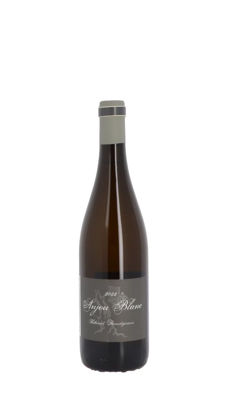 Anjou Blanc - Thibaud Boudignon - Thibaud Boudignon 