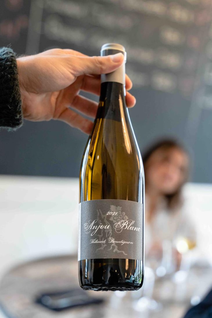 Anjou Blanc - Thibaud Boudignon - Thibaud Boudignon 