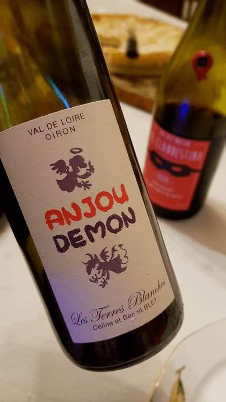 Anjou Demon - Les Terres Blanches - Celine & Benoit Blet -2021