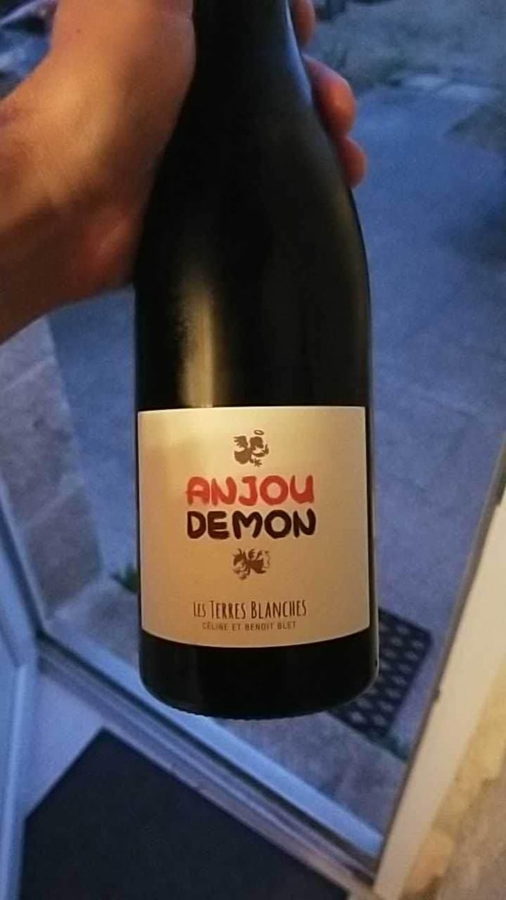 Anjou Demon - Les Terres Blanches - Celine & Benoit Blet -2021