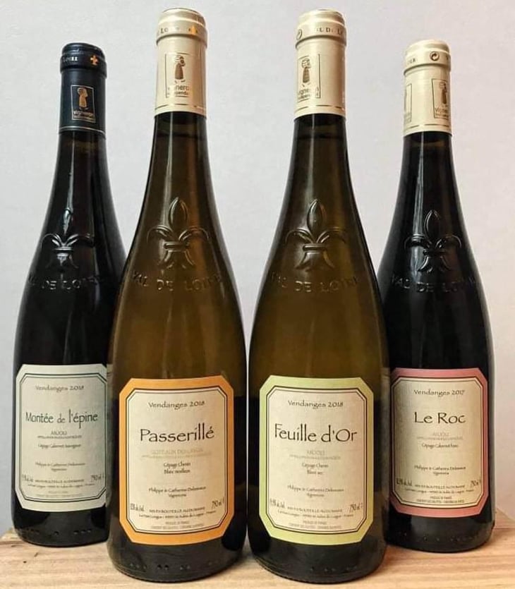 Anjou ‘’Le Roc’’ - Domaine Delesvaux (RETIRED in 2021) - Philippe & Catherine Delesvaux 