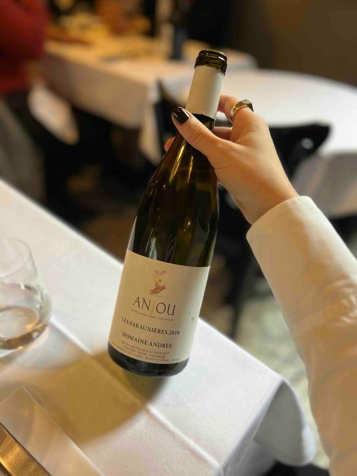 Anjou Rouge - Domaine Andrée - Stéphane Erissé 