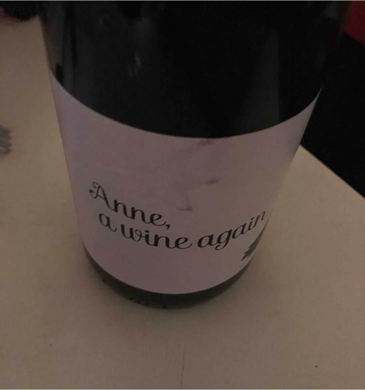 Anne, a wine again - Autour de l'Anne - Anne Leclerc Paillet 